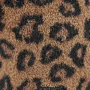 UN0074_UNDERWEAR_WILD-SPOT-PRINT_B_G_03.webp