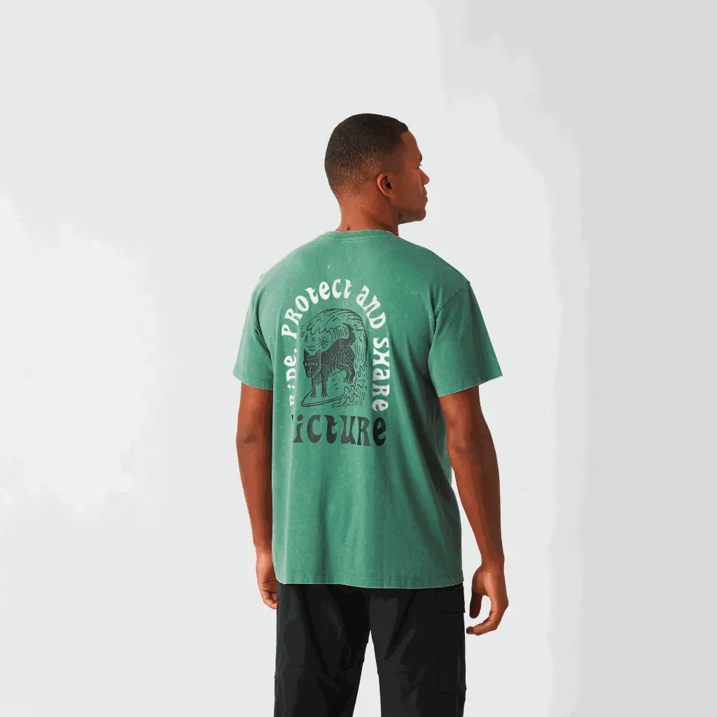 MTS1286_PICTURIDE-TEE_SMOKE-PINE-WASHED_A_P_05.webp