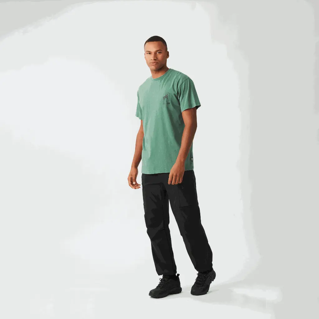 MTS1286_PICTURIDE-TEE_SMOKE-PINE-WASHED_A_P_03.webp