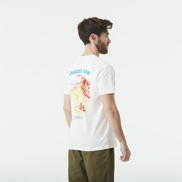 [MTS1243] D S MOUNTAKA T