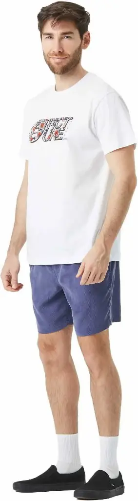 [MTS1236] T-SHIRT HOMME BASEMENT ASTER (L)