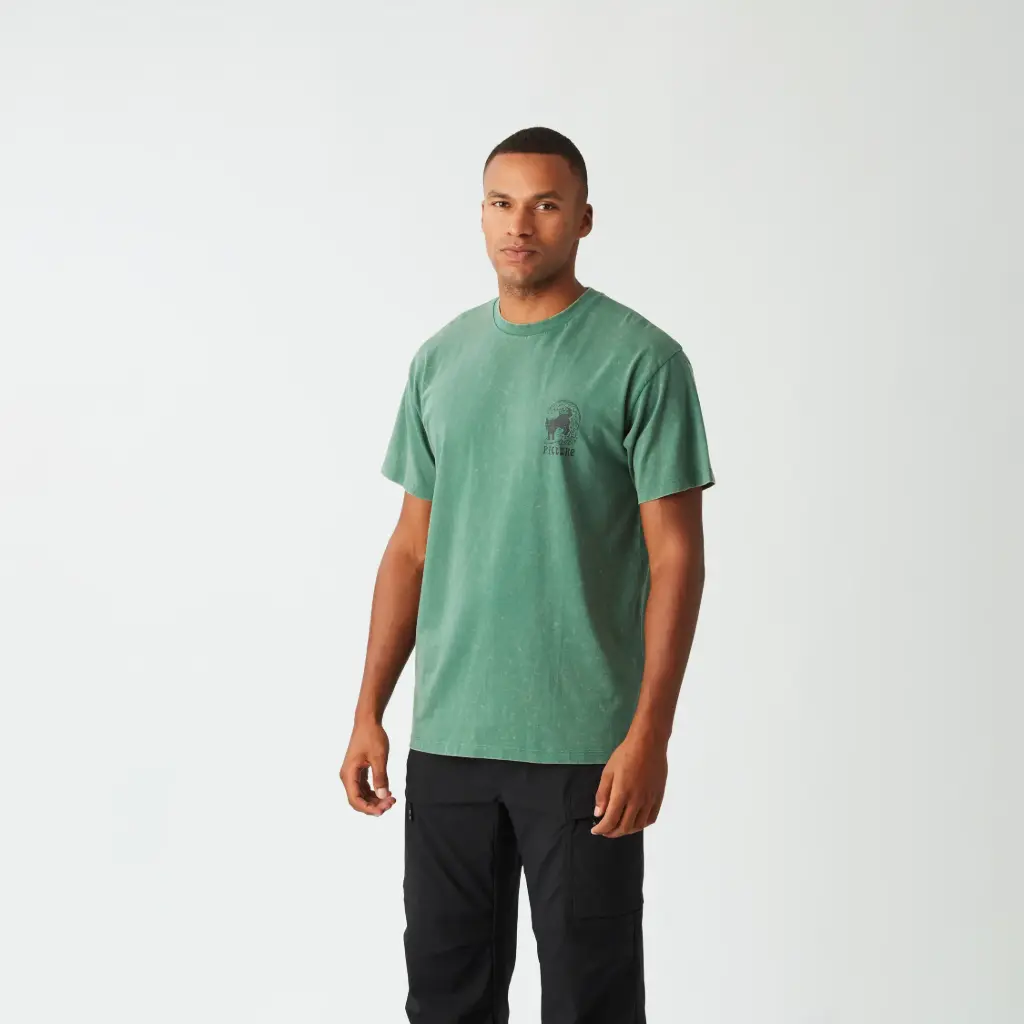T-SHIRT HOMME PICTURIDE