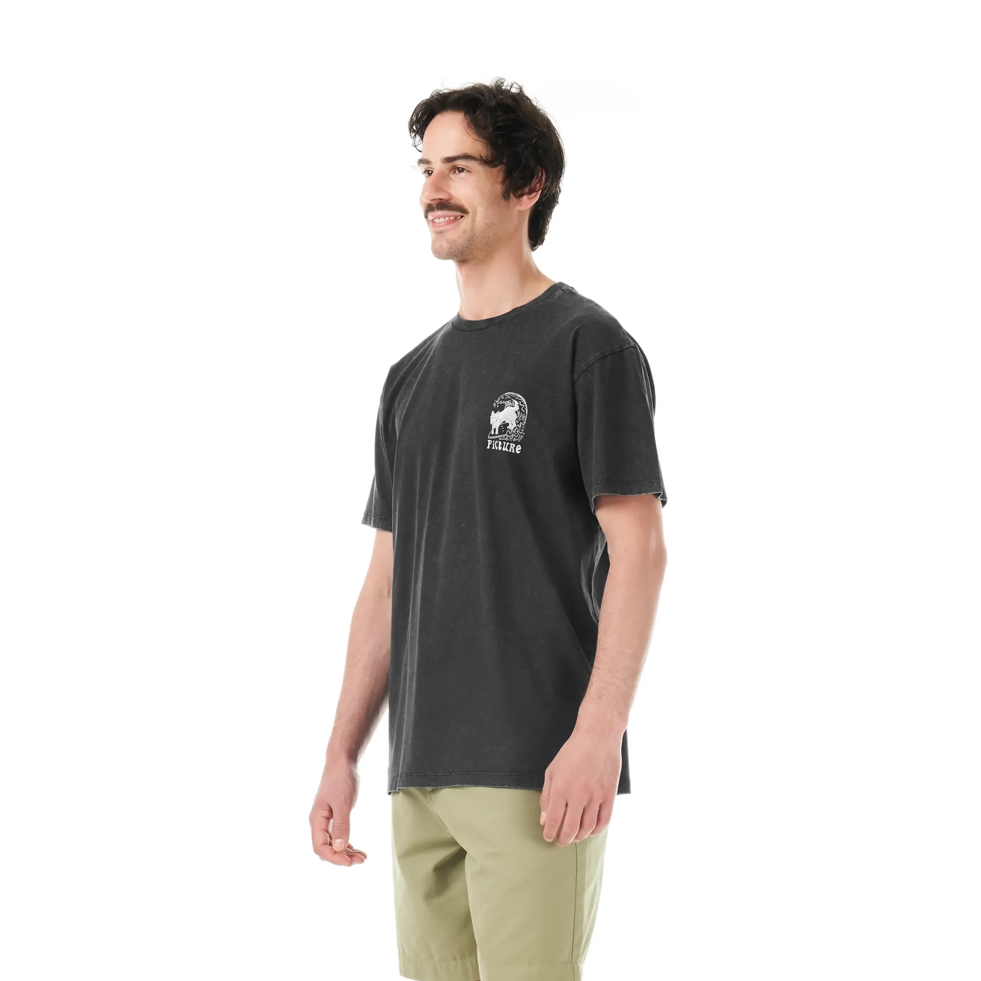 T-SHIRT HOMME PICTURIDE